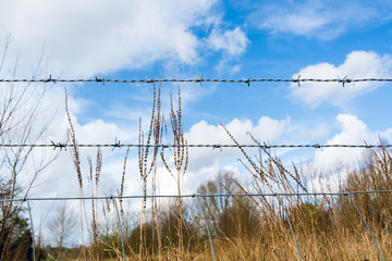 Barbed wire fence to the dry grass field in early Spring - seasonal nature background