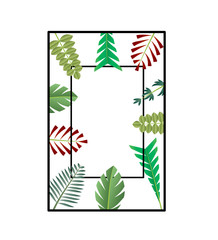 Dual vector frame with leaves of the tree