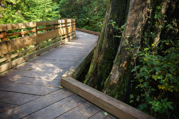 Bainbridge Island Japanese American Exclusion Memorial
