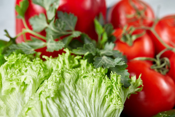 Close-up still life of assorted fresh vegetables and herbs on white textured background, shallow depth of field.