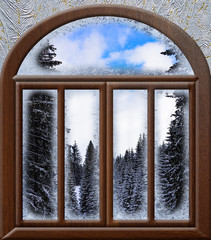 view through a frozen landscape window