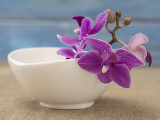 orchid flowers on a wooden background. 