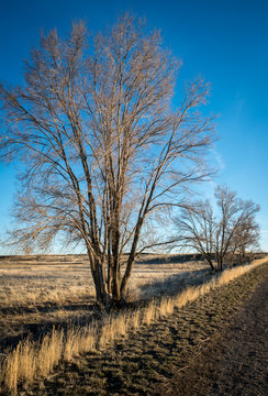 Minidoka National Historic Site, Idaho