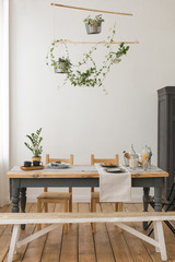 Cozy interior of kitchen with wooden table and cupboard and bench and green plants in decor