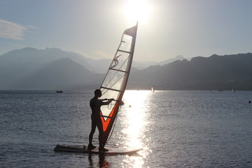 Windsurfer
