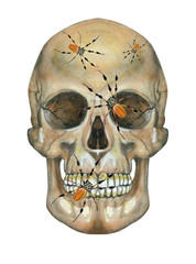 Hand drawn watercolor illustration of human skull