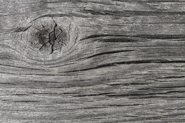 Texture of old wood