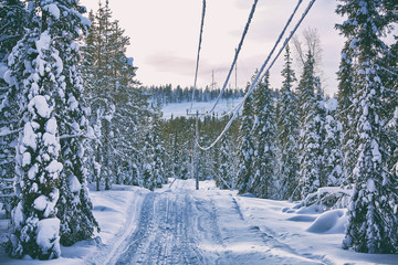 Wide winter road with snowmobile tarck and pine trees covered with snow on frosty morning