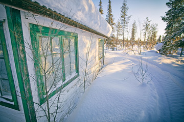 Cabin with with green shutters and doors and pine forest during early sundown in winter on a blue hour moody day, Arctic Circle, Sweden