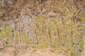 Tsankawi Trail, Bandelier National Monument, New Mexico