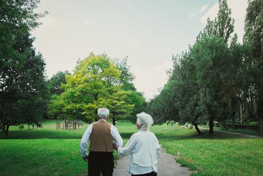 Old Couple Is Walking Away In The Green Park. Grandmother And Grandfather At Their Golden Wedding Celebration. Grandma And Grandpa Wedding Anniversary. Fifty Years Together. Love Story Of Elderly.