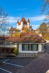 Obraz premium Beautiful view of Thun castle