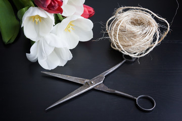 Tulips, scissors and rope on black background