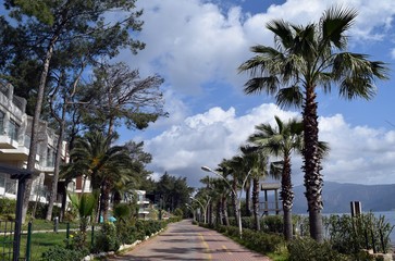 Street in palm trees.Icmeler.Marmaris.Turkey	