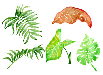 Set of watercolor painted leaves