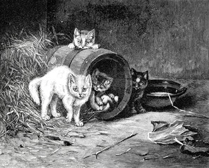 Katzen im Heu: Der Feind naht - 197661682