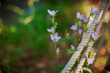 Waterfall park at Antalya, Turkey. Kursunlu selalesi