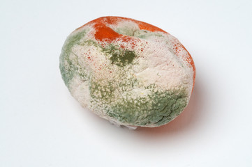 Fototapeta premium Clementine mit Schadschimmel