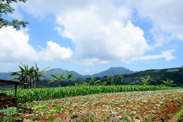 natural scenery on the slopes mountain