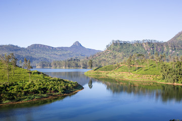 beautiful landscape of sri lanka. river, mountains and tea plantations