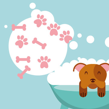 dog in bath grooming bubbles paw bone love pet domestic vector illustration