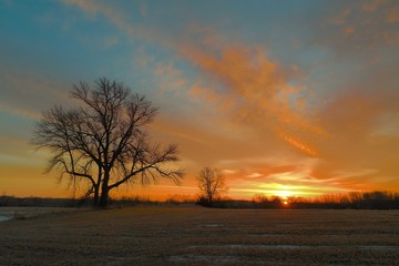 Sunrise over trees.