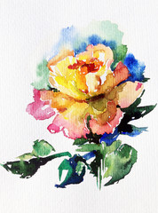 watercolor art  background floral  exotic spring flower rose single love blooming painting bright  wash blurred textured  decoration  hand beautiful colorful delicate romantic