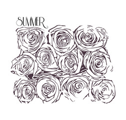 Monochrome illustration of roses