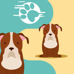 cute pair dogs sitting and paw print vector illustration