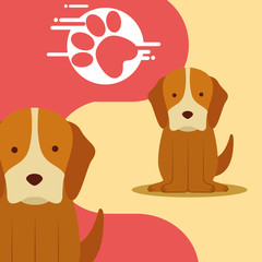 cute pair dogs sitting and paw print vector illustration