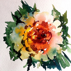 watercolor art  background floral  exotic spring flowers rose  bloom painting bright   textured  decoration  hand beautiful colorful delicate romantic valentines day