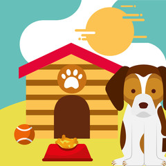 pet dog sitting with food and toy ball dog house vector illustration
