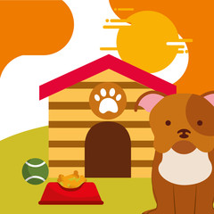 pet dog sitting with food and toy ball dog house vector illustration