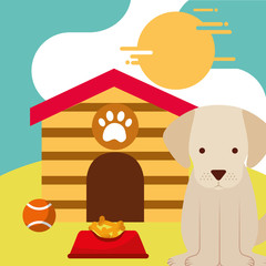 pet dog sitting with food and toy ball dog house vector illustration