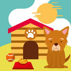 pet dog sitting with food and toy ball dog house vector illustration