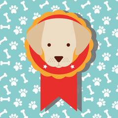 Obraz na płótnie Canvas cute dog show medal with winner of dogs competition with bones background vector illustration