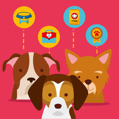 pets dog animal domestic care food medal vector illustration