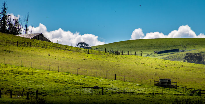 A dairy farm with a barn top showing above the hill, fences and green pastures. A blue sky with fluffy white clouds are above. There are patches of sunlight and shadow on the green pastures.