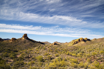 View of the Sonoran Desert