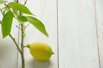 lemon on a clear wooden table
