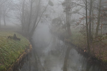 Obraz na płótnie Canvas Wąska rzeczka parkowa w jesiennej mgle
