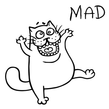 Cute mad cat. Vector illustration