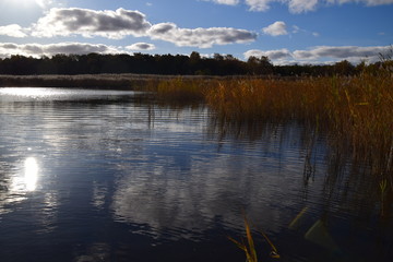 Fototapeta premium seaside
