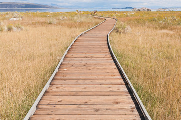 Boardwalk