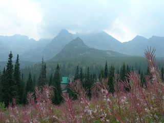 Tatry, widok na Kościelec i Doline Gąsienicową