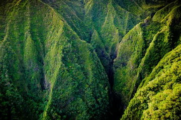 Fototapeten Koolau-Berge auf Oahu © shanemyersphoto
