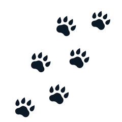 Fototapeta na wymiar paw footprints on white, vector