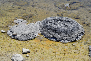 Australia, Nature, Stromatolites