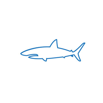 shark color logo