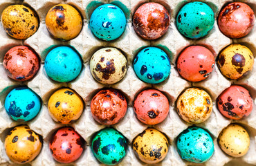 Easter colored quail eggs-red, blue, yellow and one different .Top view.Flat lay Happy easter holiday